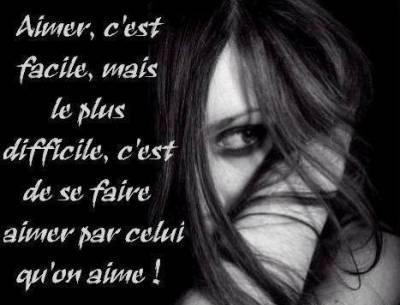 LE VERBE AIMER
