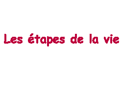 LA  VIE  EST  BELLE