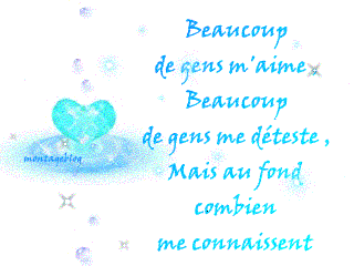  LE SENTIMENT